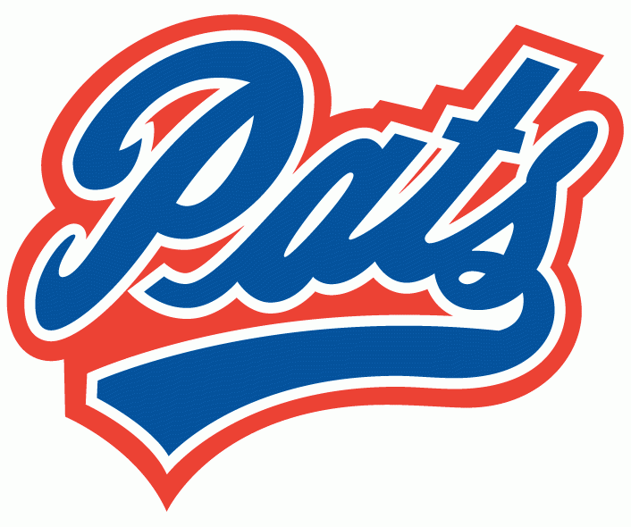 regina pats 2009-pres primary logo iron on heat transfer